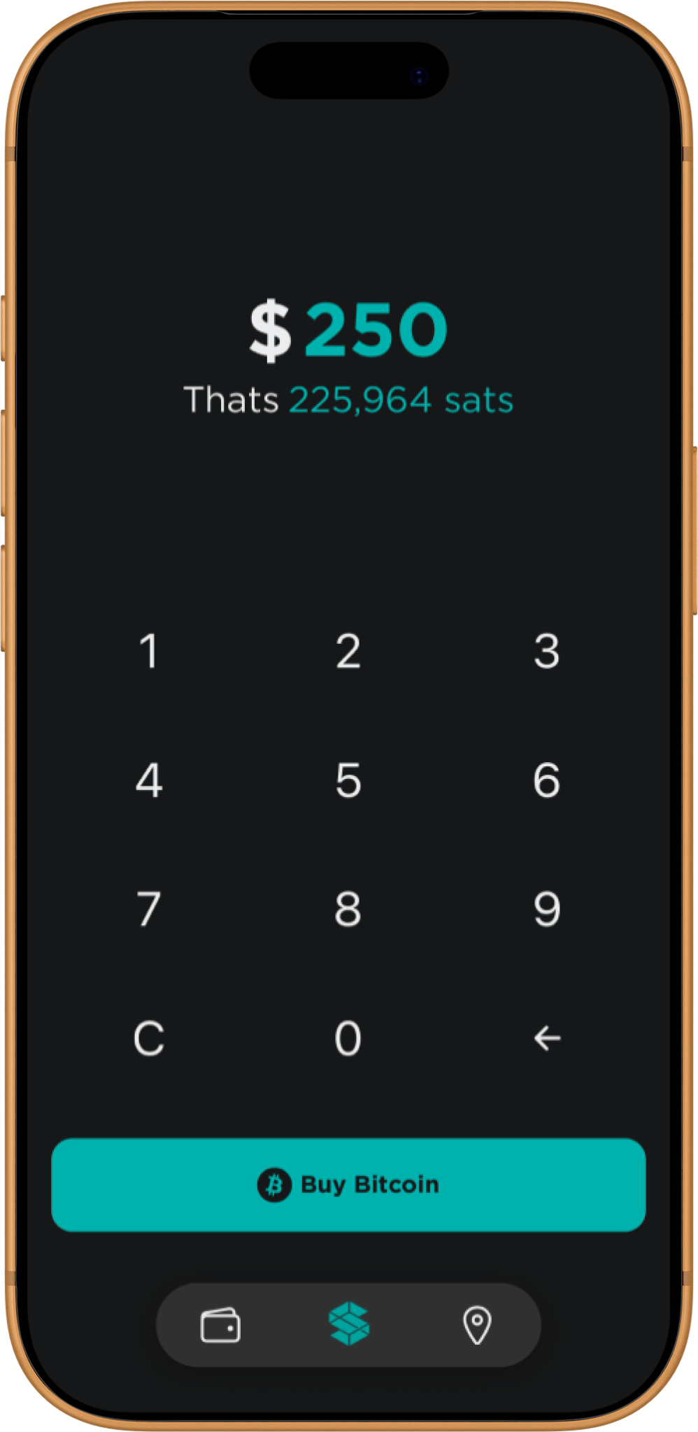 Stacked app buy flow — entering a $250 NZD amount